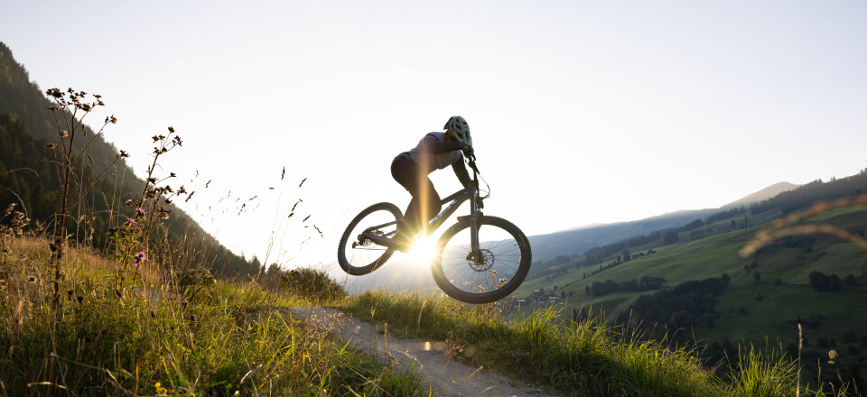 3 Biker stehen unter einem Home Of Lässig Tor da und schauen in die Berglandschaft